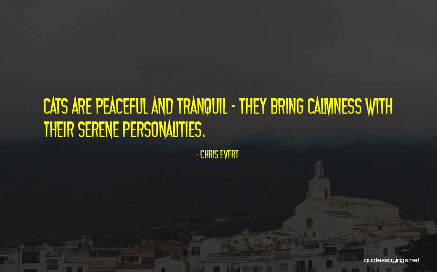 Semmihez Sincs Quotes By Chris Evert Semmihez Sincs Quotes By Chris Evert