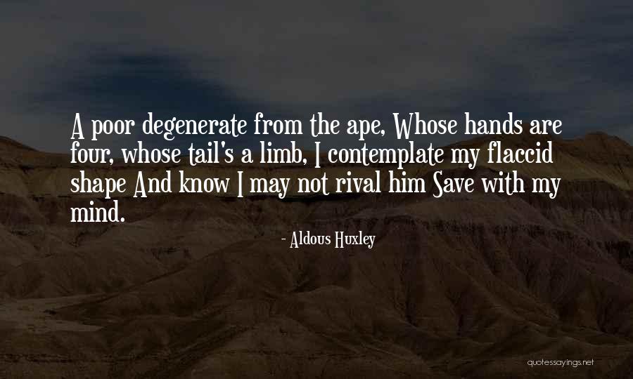 Semnificativitate Quotes By Aldous Huxley Semnificativitate Quotes By Aldous Huxley