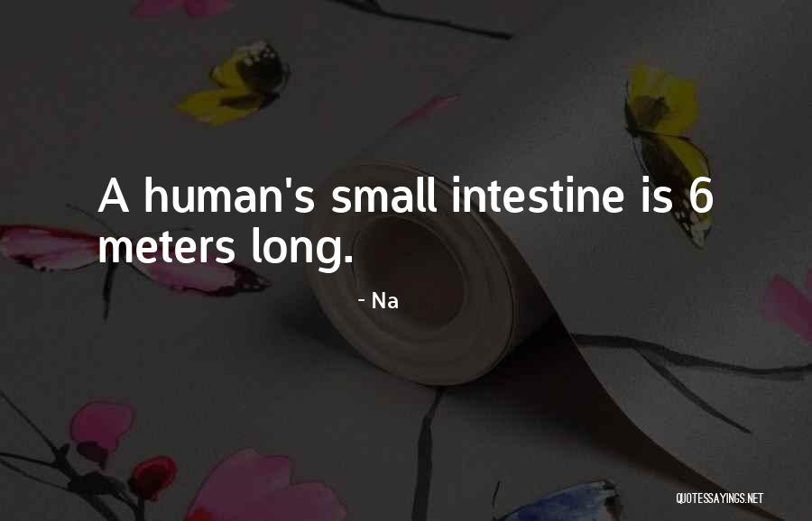 Semoga Tabah Quotes By Na Semoga Tabah Quotes By Na