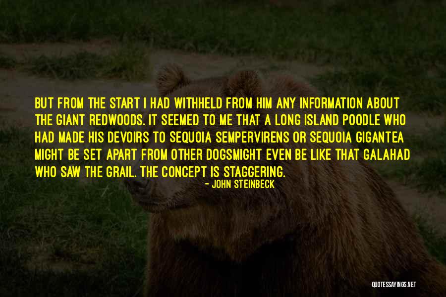 Sempervirens Quotes By John Steinbeck Sempervirens Quotes By John Steinbeck