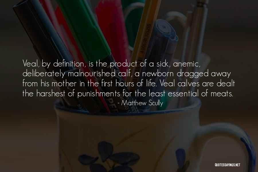 Sempronius Tuditanus Quotes By Matthew Scully Sempronius Tuditanus Quotes By Matthew Scully