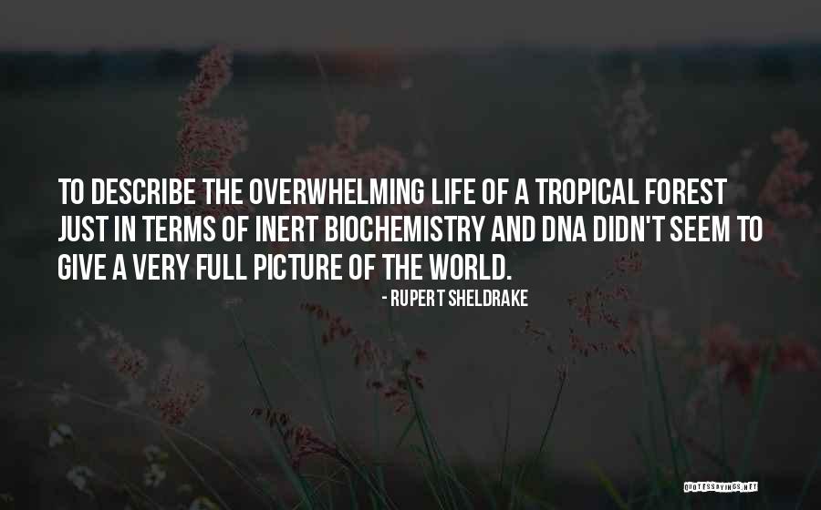 Sencorp White 2212128 Quotes By Rupert Sheldrake Sencorp White 2212128 Quotes By Rupert Sheldrake