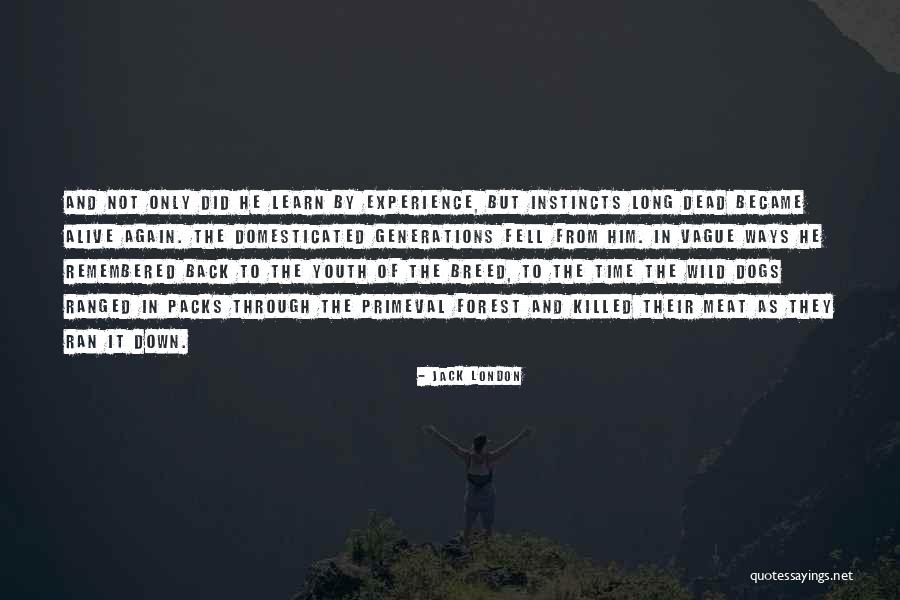 Sendashonga Seth Quotes By Jack London Sendashonga Seth Quotes By Jack London