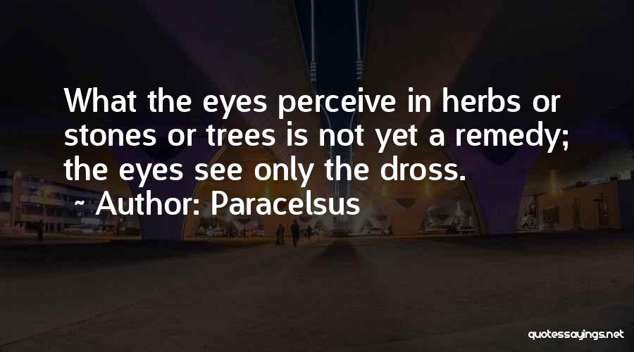 Seneca College Quotes By Paracelsus