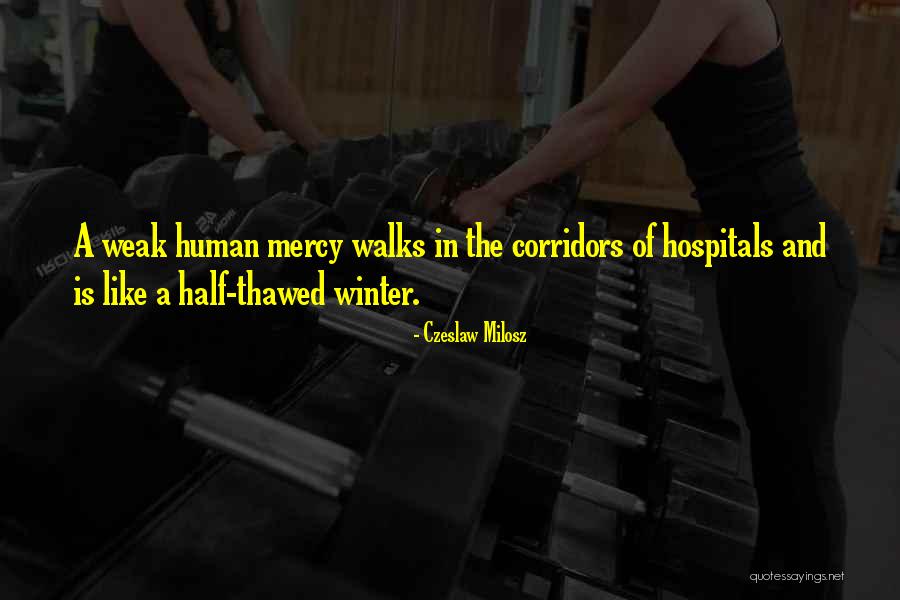 Seneca Ptica Quotes By Czeslaw Milosz Seneca Ptica Quotes By Czeslaw Milosz