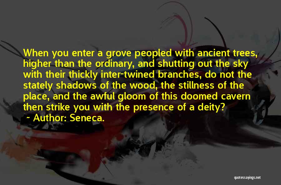 Seneca. Quotes 1679871