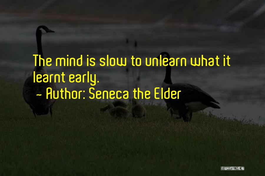 Seneca The Elder Quotes 1020103