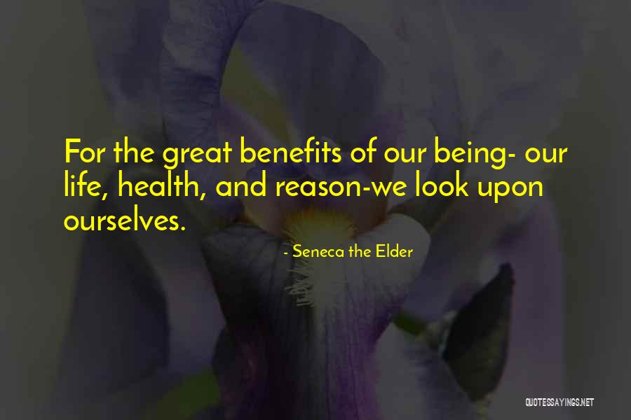 Seneca The Elder Quotes 1772193