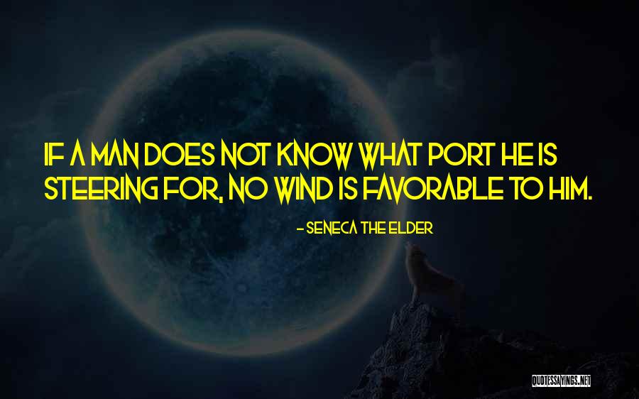 Seneca The Elder Quotes 608089