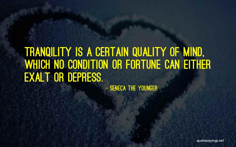 Seneca The Younger Quotes 1334230 Seneca The Younger Quotes 1334230
