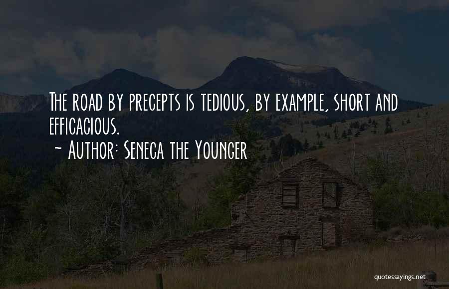 Seneca The Younger Quotes 312305