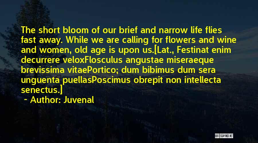 Senectus Quotes By Juvenal