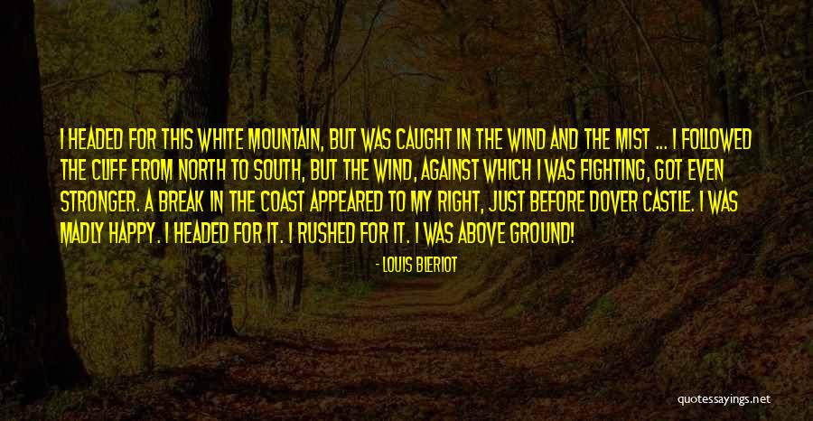 Sener Mexico Quotes By Louis Bleriot