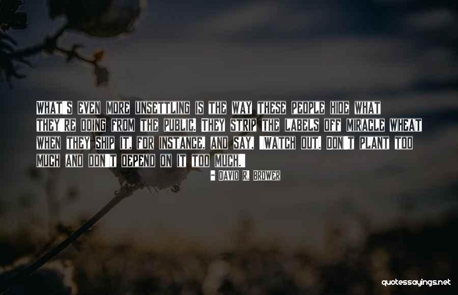 Senez Quotes By David R. Brower Senez Quotes By David R. Brower