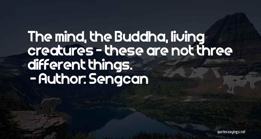 Sengcan Quotes 1146882