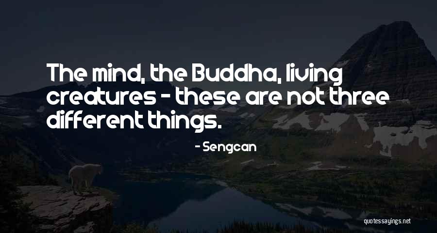 Sengcan Quotes 1146882 Sengcan Quotes 1146882