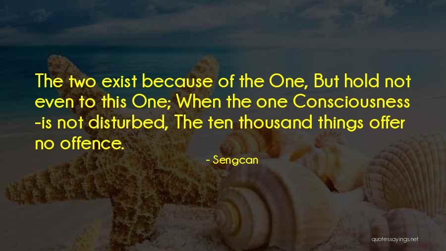 Sengcan Quotes 509455