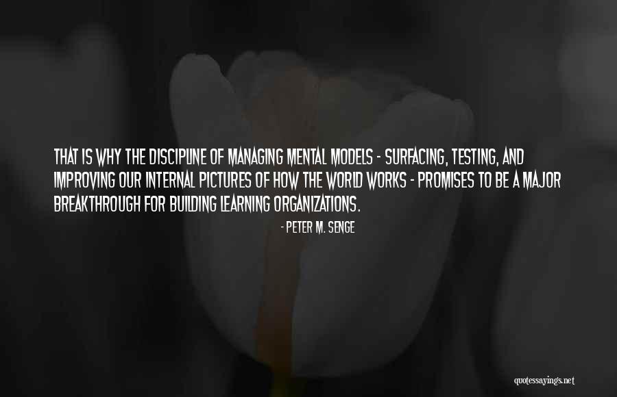 Senge Quotes By Peter M. Senge