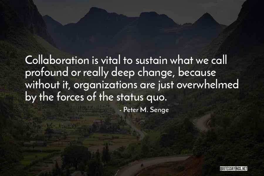 Senge Quotes By Peter M. Senge