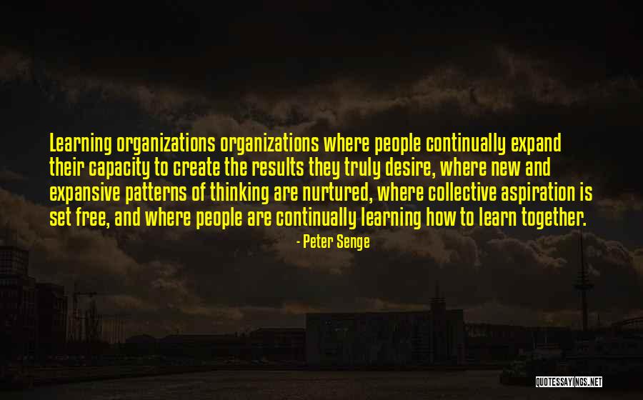 Senge Quotes By Peter Senge