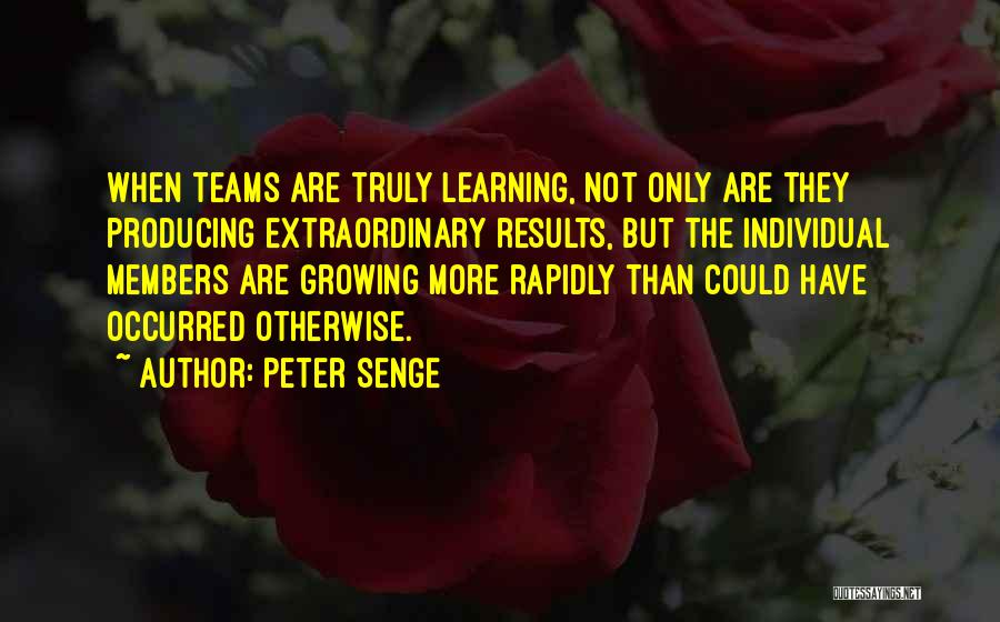 Senge Quotes By Peter Senge