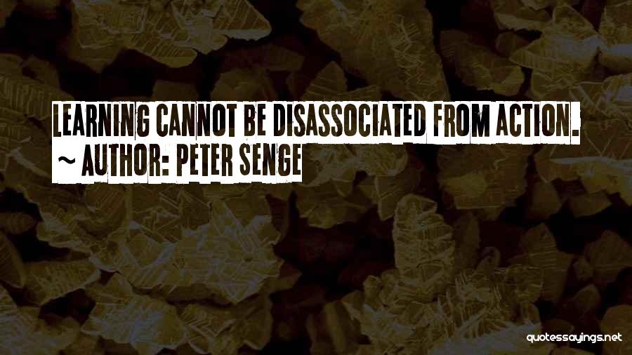 Senge Quotes By Peter Senge