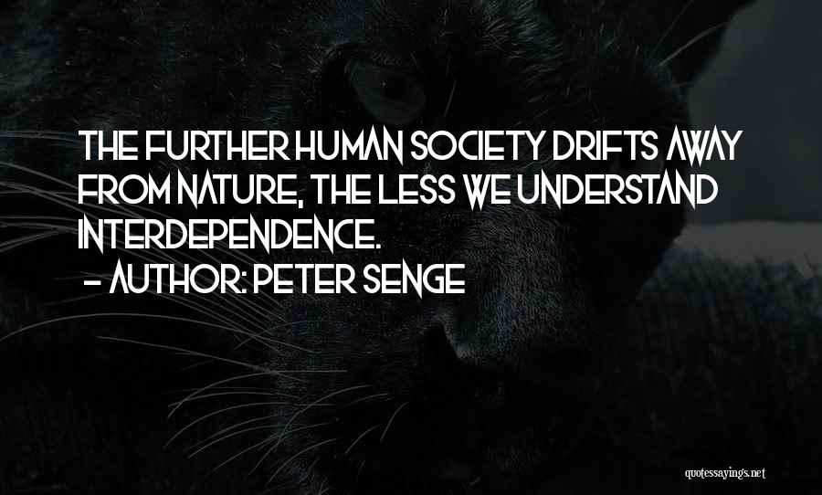 Senge Quotes By Peter Senge