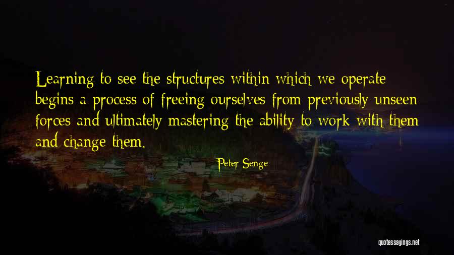 Senge Quotes By Peter Senge