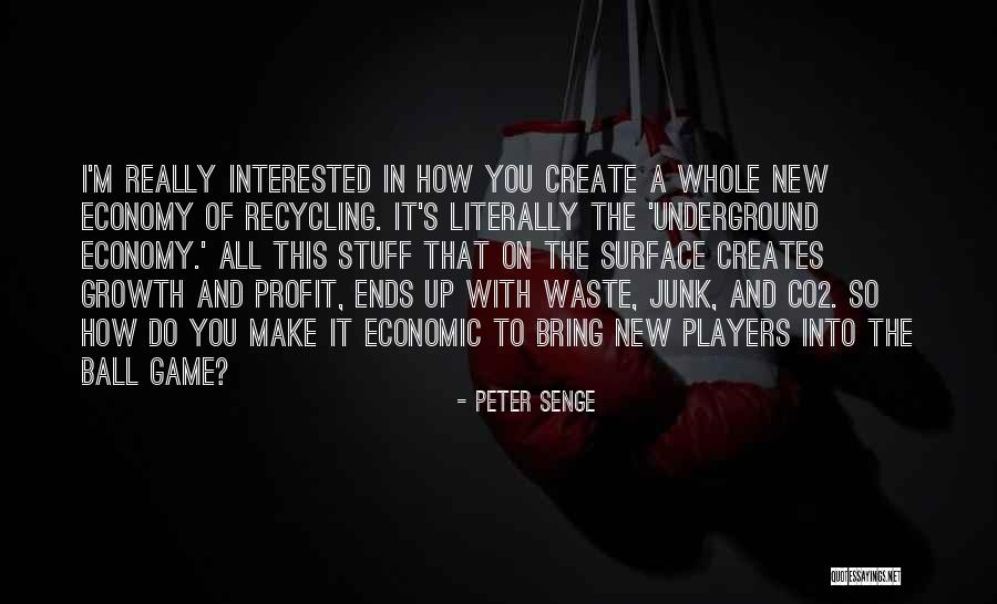 Senge Quotes By Peter Senge