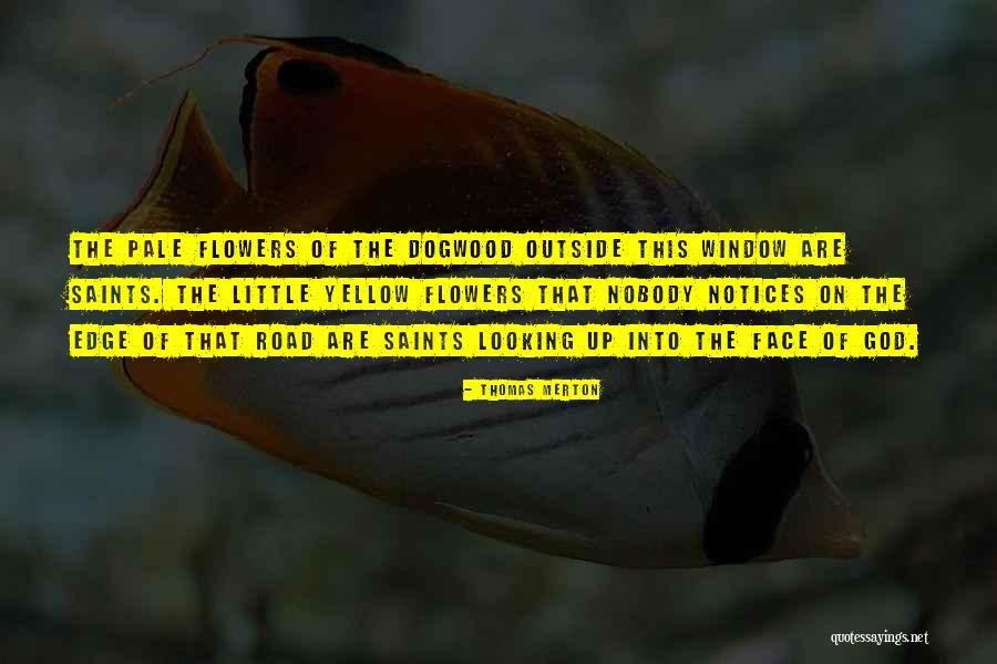 Senghore Pope Quotes By Thomas Merton Senghore Pope Quotes By Thomas Merton