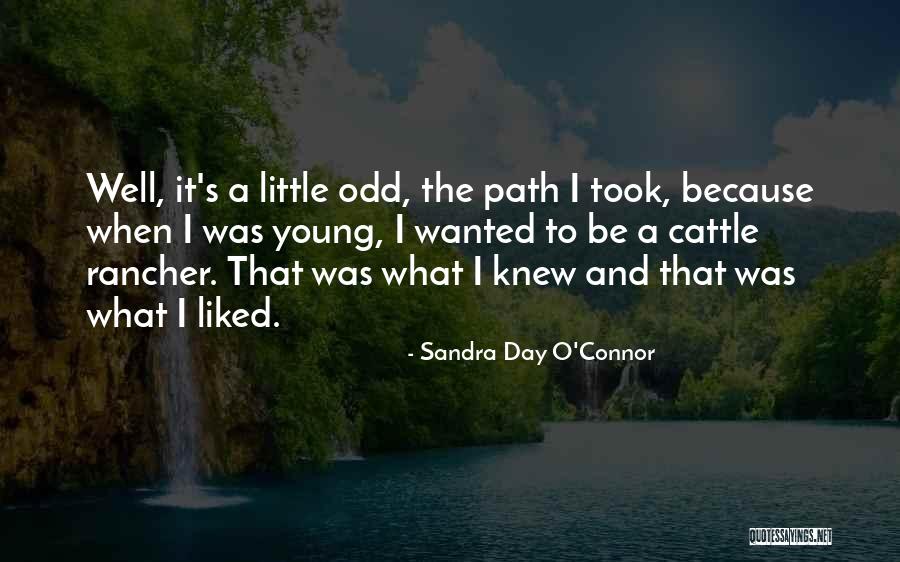 Sengled Snap Quotes By Sandra Day O'Connor Sengled Snap Quotes By Sandra Day O'Connor