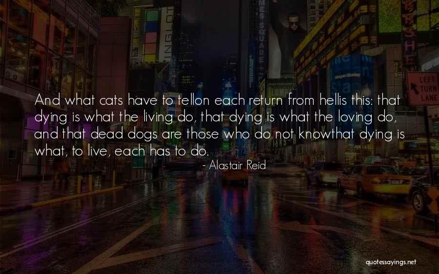 Senhorio De Jesus Quotes By Alastair Reid Senhorio De Jesus Quotes By Alastair Reid