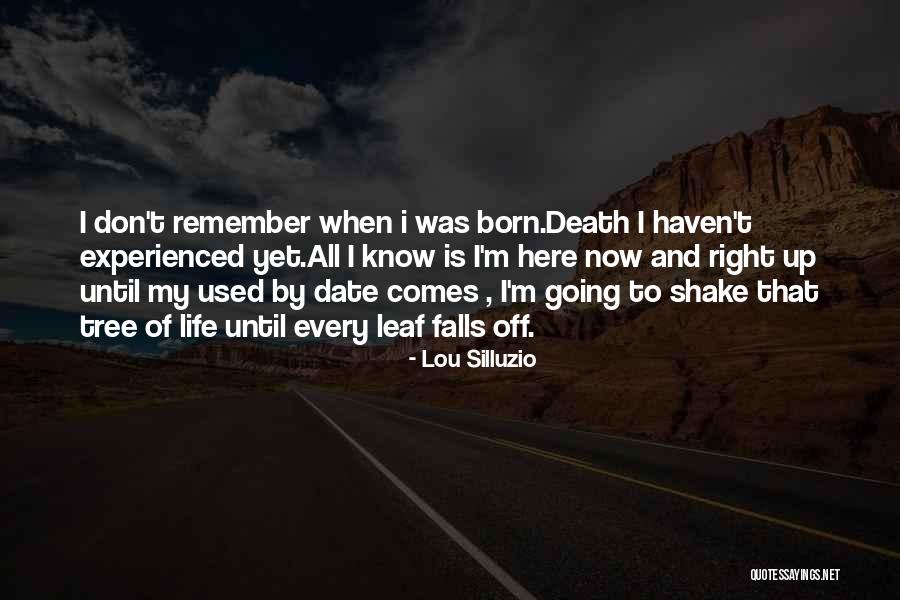 Senindir Senindi Quotes By Lou Silluzio Senindir Senindi Quotes By Lou Silluzio