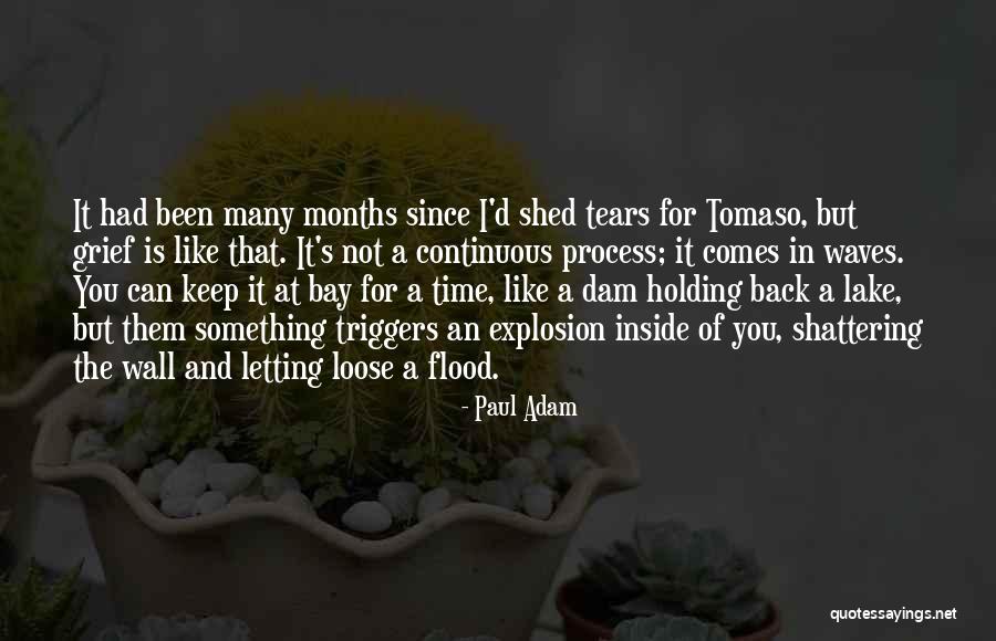 Senini Cementiblok Quotes By Paul Adam Senini Cementiblok Quotes By Paul Adam