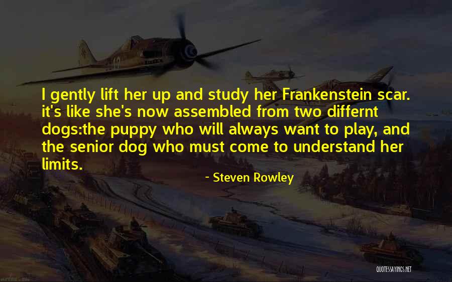 Senior Dog Quotes By Steven Rowley Senior Dog Quotes By Steven Rowley
