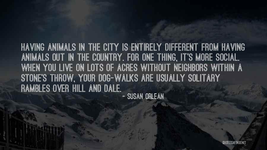 Senior Send Off Quotes By Susan Orlean Senior Send Off Quotes By Susan Orlean