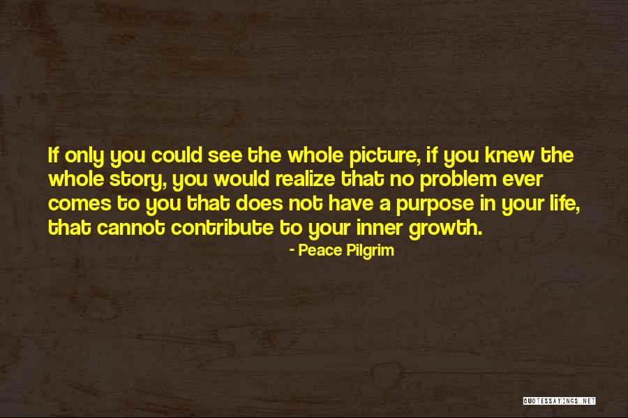 Senji Adventures Quotes By Peace Pilgrim Senji Adventures Quotes By Peace Pilgrim