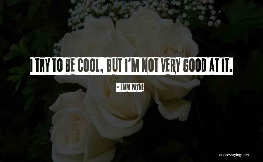 Sennet Quotes By Liam Payne Sennet Quotes By Liam Payne