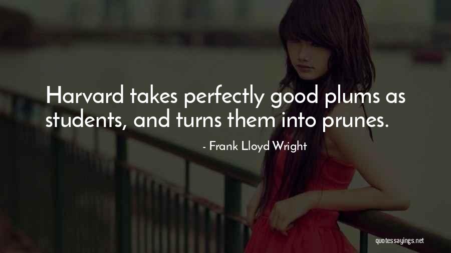 Senor Wooly Quotes By Frank Lloyd Wright Senor Wooly Quotes By Frank Lloyd Wright