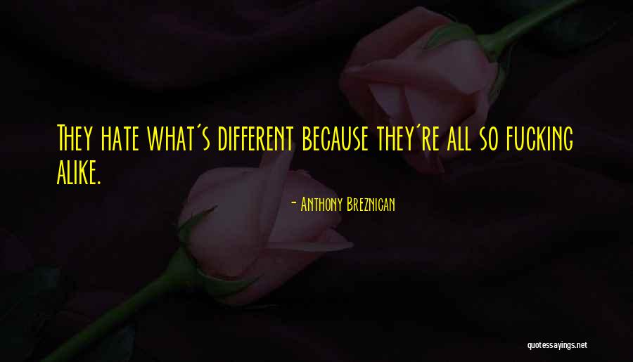 Senores Papis Quotes By Anthony Breznican Senores Papis Quotes By Anthony Breznican