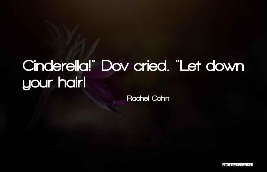 Sensata Airpax Quotes By Rachel Cohn Sensata Airpax Quotes By Rachel Cohn