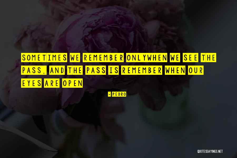 Sensatie Artikel Quotes By Pedro Sensatie Artikel Quotes By Pedro