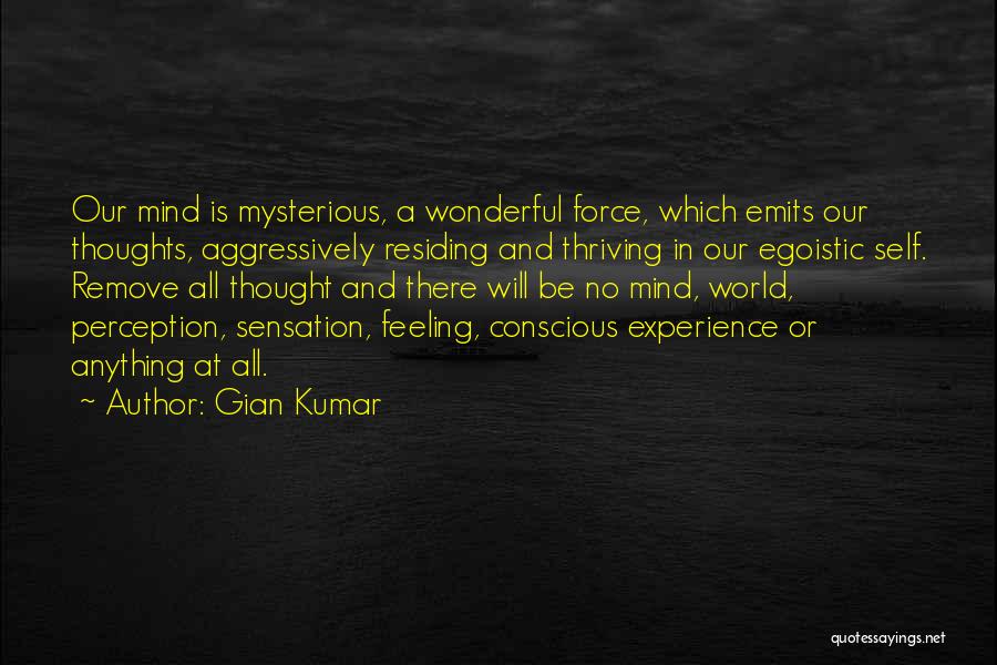 Sensation And Perception Quotes By Gian Kumar