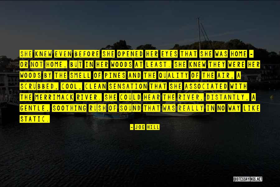 Sensation Home Quotes By Joe Hill Sensation Home Quotes By Joe Hill