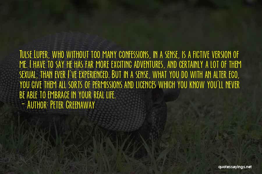 Sense Of Adventure Quotes By Peter Greenaway