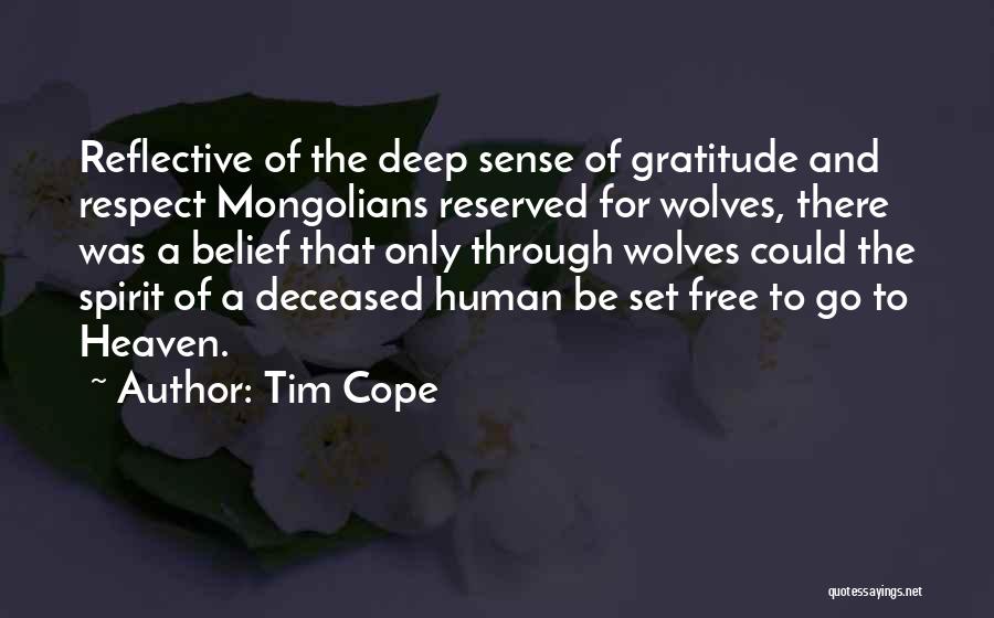 Sense Of Gratitude Quotes By Tim Cope