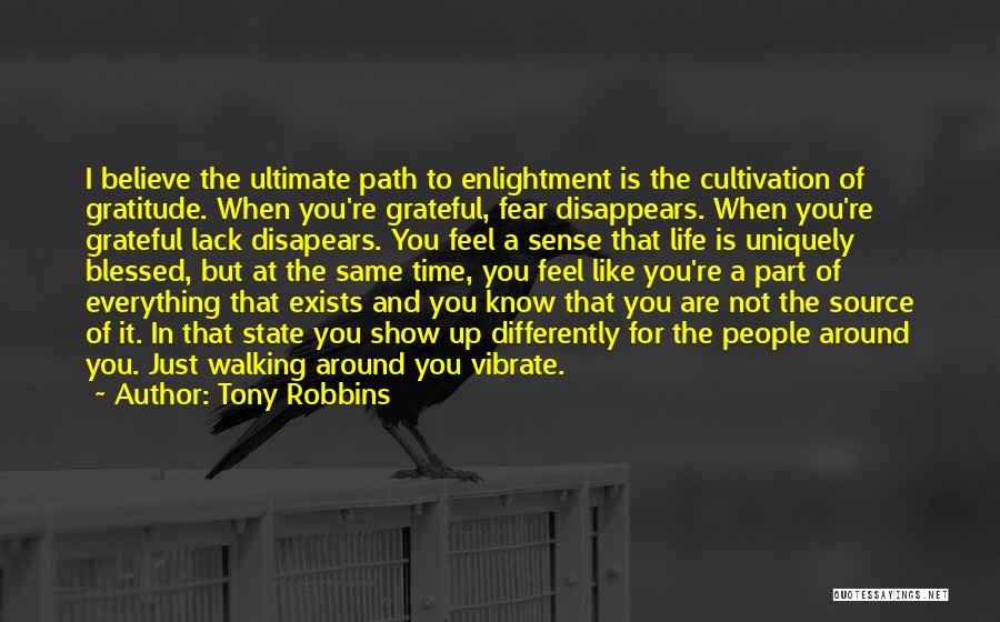Sense Of Gratitude Quotes By Tony Robbins