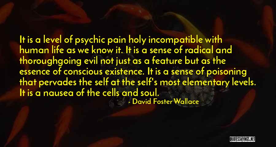 Sense Of Holy Quotes By David Foster Wallace Sense Of Holy Quotes By David Foster Wallace