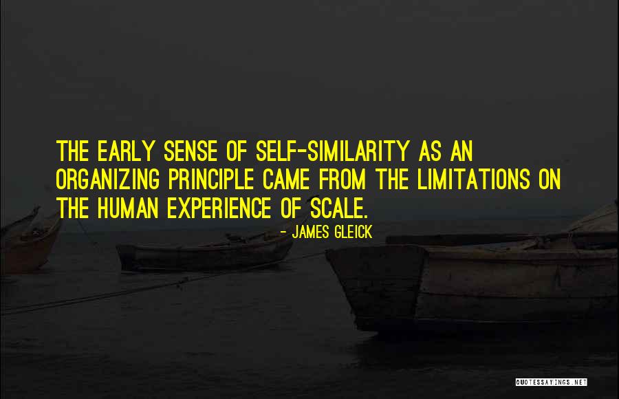 Sense Of Scale Quotes By James Gleick Sense Of Scale Quotes By James Gleick