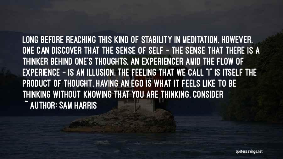 Sense Of Self Quotes By Sam Harris